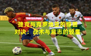 捷克与克罗地亚的绿茵对决：战术与意志的较量