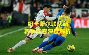 纽卡斯尔联队新赛季阵容深度解析