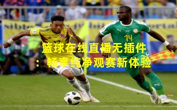 篮球在线直播无插件：畅享纯净观赛新体验