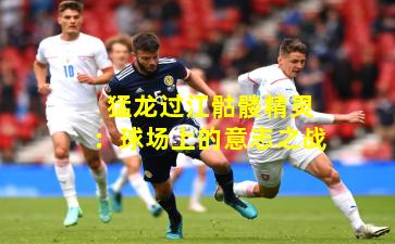 猛龙过江骷髅精灵:球场上的意志之战