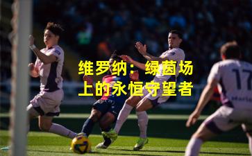 维罗纳:绿茵场上的永恒守望者