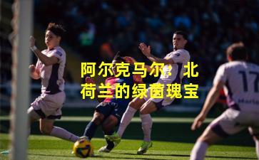 阿尔克马尔：北荷兰的绿茵瑰宝