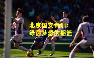 北京国安青训：绿茵梦想的摇篮