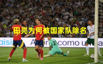 田亮为何被国家队除名