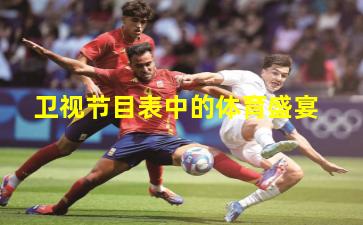 卫视节目表中的体育盛宴