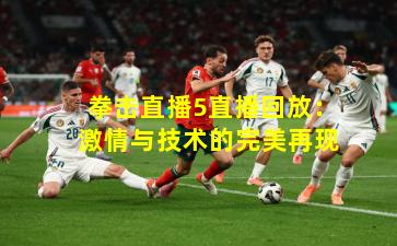 拳击直播5直播回放：激情与技术的完美再现